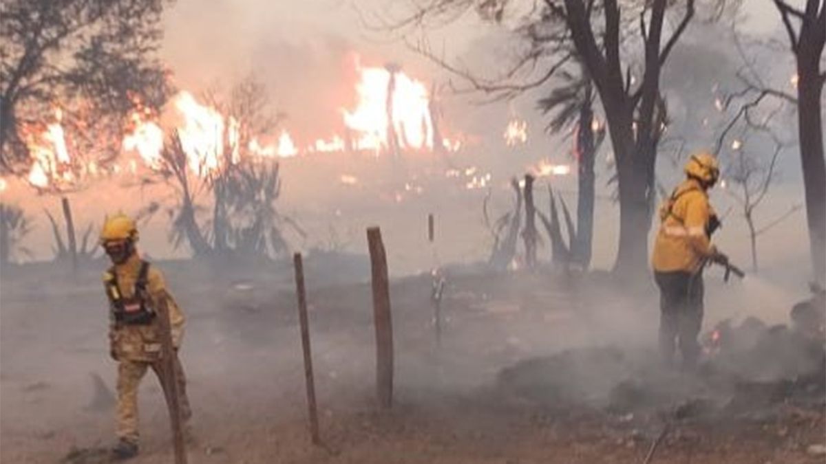 Más de 370 efectivos del Plan Provincial de Manejo del Fuego y de Protección Civil continúan trabajando en el combate de los incendios forestales desde el pasado viernes en el norte de Córdoba