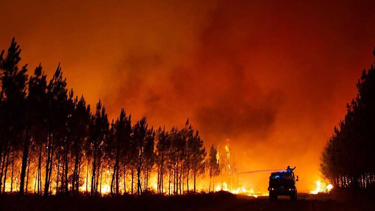 Alrededor de 1.100 bomberos continuaban este viernes combatiendo incendios forestales en distintas localidades de Francia