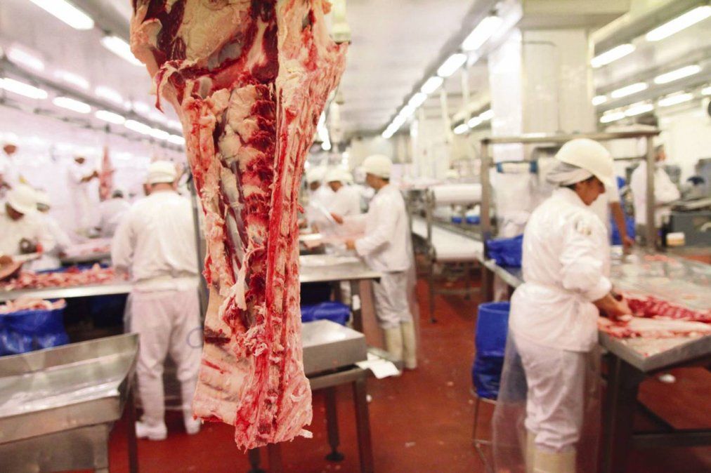 El Gobierno estableció nuevos parámetros para la exportación de carne
