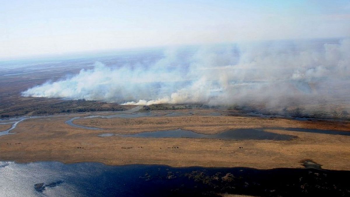 Los incendios se multiplican por el calentamiento global y por personas que los inician intencionalmente. / Foto: archivo